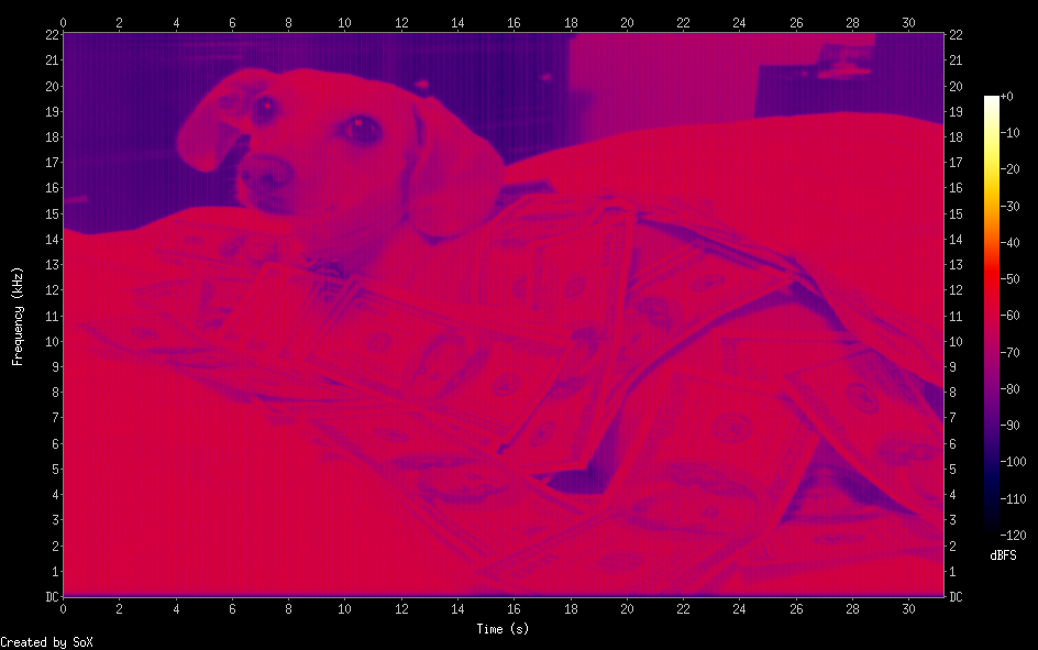 Spectrogram of a dog